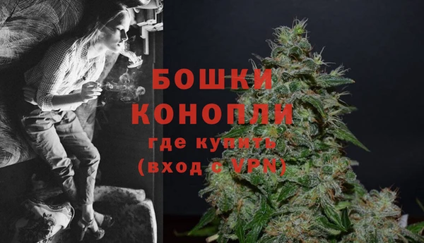 ГАЛЛЮЦИНОГЕННЫЕ ГРИБЫ Кодинск