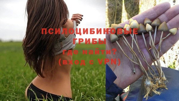 ALPHA-PVP Козловка