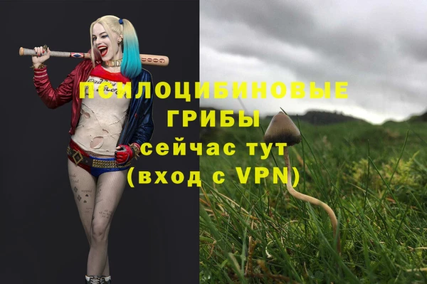 mdma Костерёво