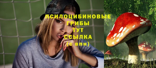 ГАЛЛЮЦИНОГЕННЫЕ ГРИБЫ Козельск
