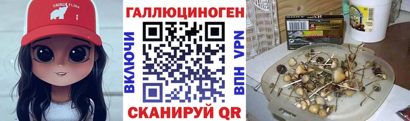 кракен Киренск Галлюциногенные грибы GOLDEN TEACHER